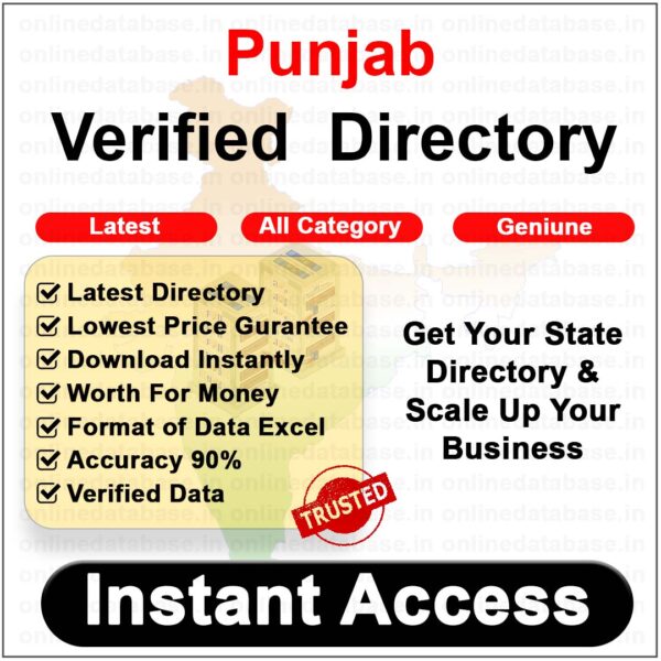 Punjab Phone Number Database