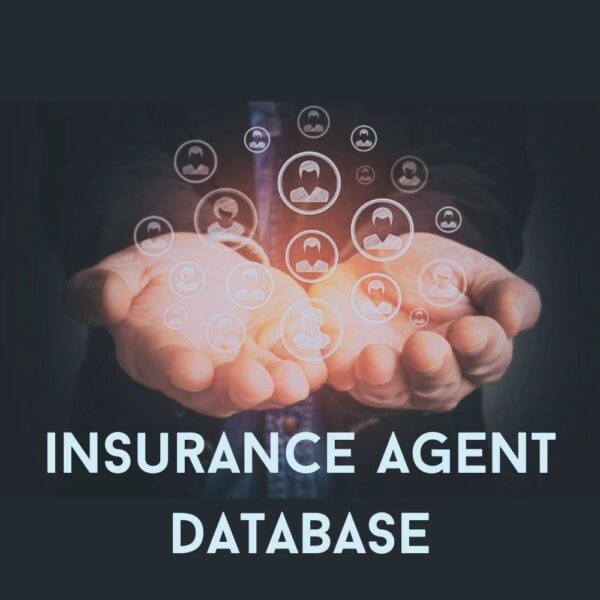 Insurance Agent Database